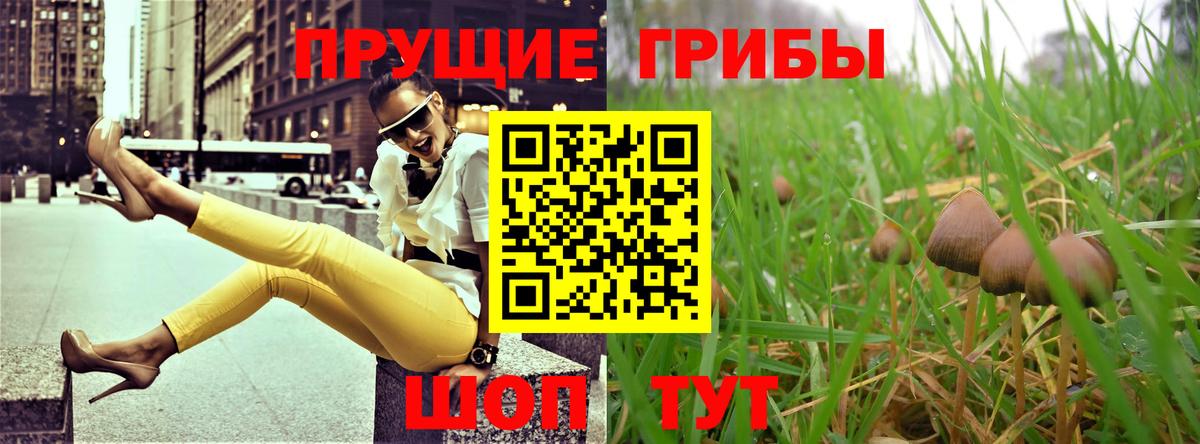 Карачаевск  Галлюциногенные грибы Psilocybe  Галлюциногенные грибы ЛСД  Вход с VPN 